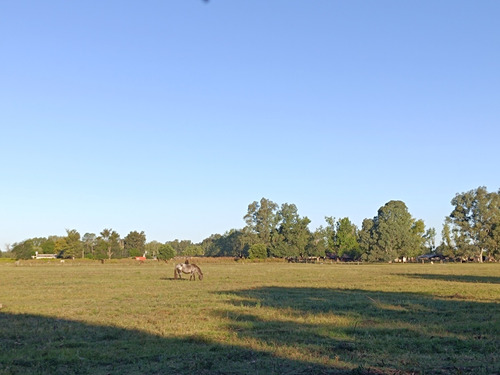 Terreno Lote Oportunidad En Venta Cañuelas 