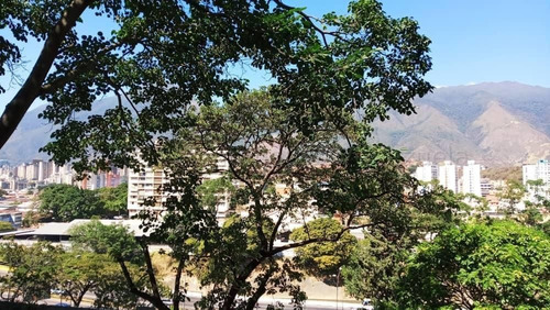 Imagen 7 de 7 de Apartamento En Venta Jose Carrillo If Mls #22-12086