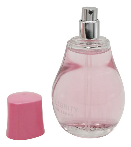 Perfume 100ml In Style Celebrity