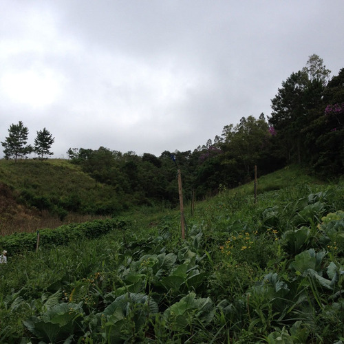 Imagem 12 de 29 de Vendo Terreno 260.000m² Ou 26,1ha Em Guapiara Sp Opções: Plantio, Criação De Gado, Turismo E Outros