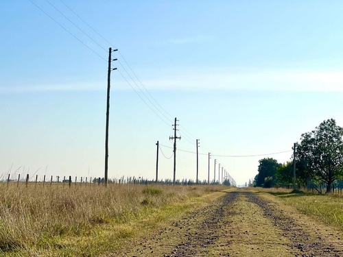 Imagen 7 de 20 de Venta Chacra 15 Hectareas Cañuelas Buenos Aires