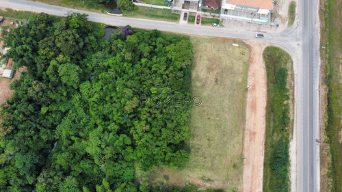 Imagem 18 de 21 de Terreno, Praia Da Maranduba, Ubatuba - R$ 2 Mi, Cod: 1733 - V1733