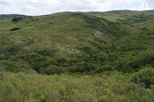 Imagen 11 de 21 de Venta Chacra Sierra Ruta 39 Aigua Sierra De Los Caracoles Maldonado