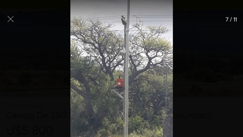 Imagen 6 de 14 de Gran Oportunidad!!! Vendo Campo En Pesos!!! Dueño Directo.