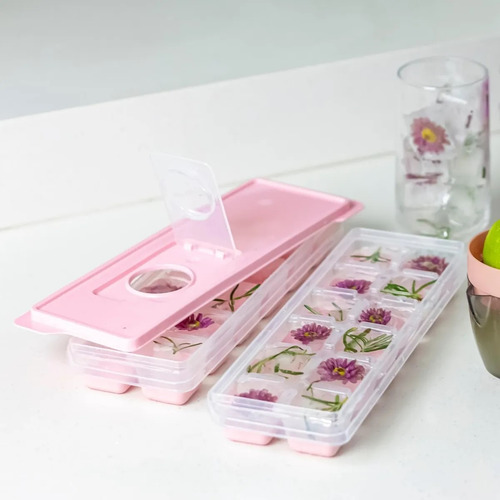 Forma De Silicone Gelo Papinha Com Tampa 12 Cubos Livre Bpa