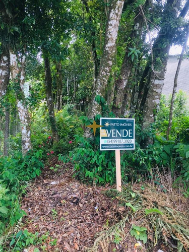 Imagem 1 de 3 de Terreno Em Canela - 771