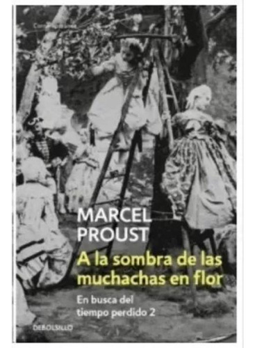 Libro A La Sombra De Las Muchachas En Flor. En Busca Del Ti