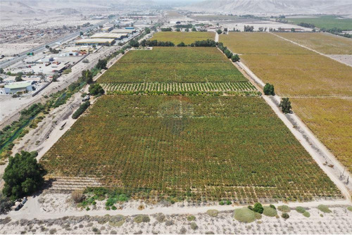 Terrenos Agricola En Ruta C-30 Copiapó