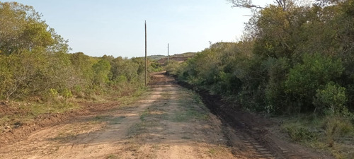 Quinta En Venta - Monoambiente En Aigua (ref: Bpv-9670)