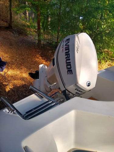 Lancha Marine Sur Quicksilver 465 2011-evinrude 2011 Etec 60