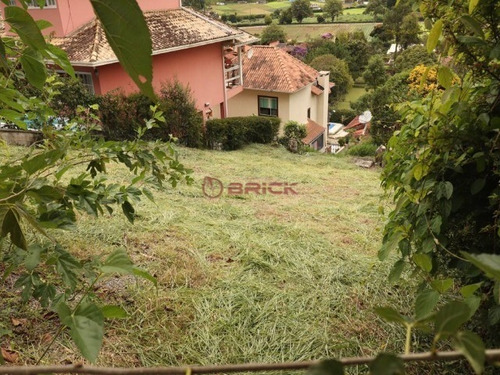 Imagem 3 de 19 de Terreno Com 240 M² Em Condomínio Em Vargem Grande. - Te00412 - 69435834