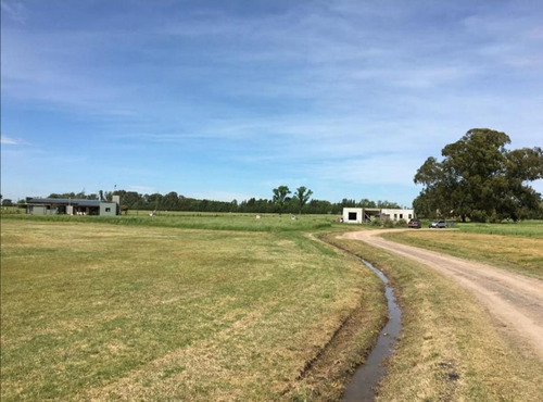 Imagen 10 de 13 de Lote En Venta En Carlos Keen