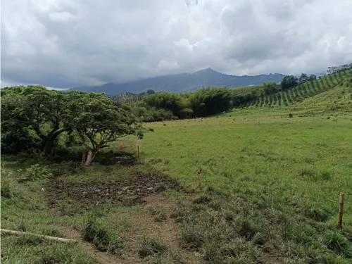 Se Vende Finca Vía Barragan - Rio Verde