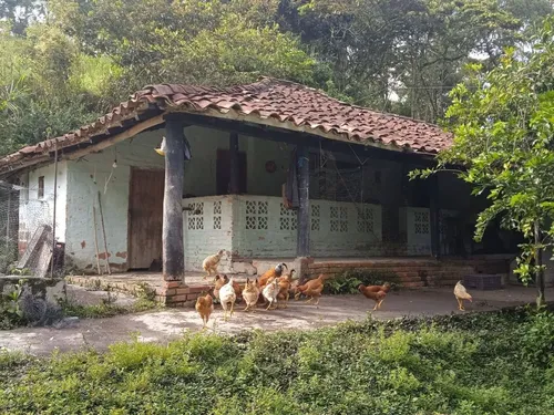 Finca En Guacamayas, Santander, Al Día En Documentos.