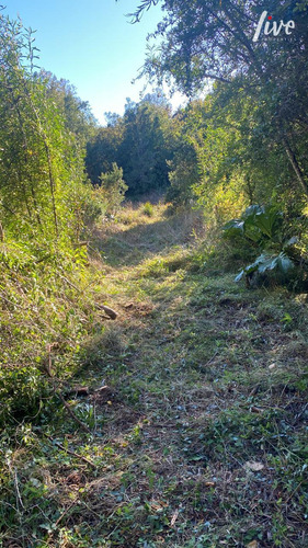 Vendo Terreno En Pucón, Sector Metreñehue