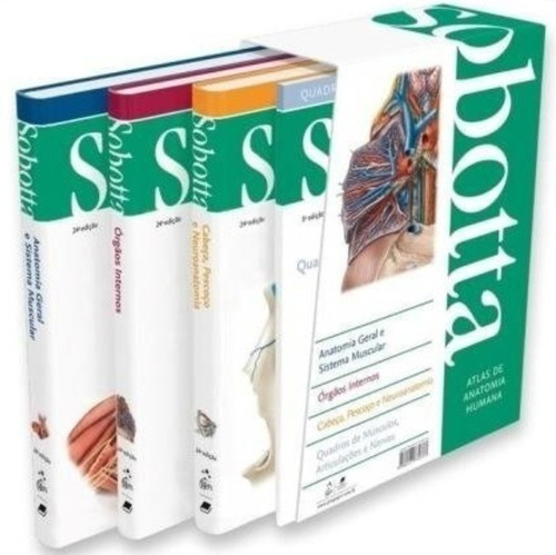 Sobotta Atlas De Anatomía Humana / 3 Vols + Tablas / 24 Ed.