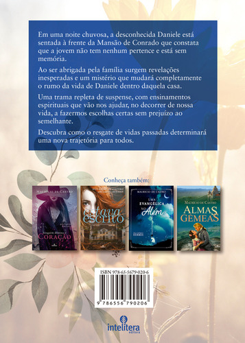 O Preço De Uma Escolha De Médium Maurício De Castro Ditado Por Hermes Editora Intelítera Capa Mole Em Português 2023
