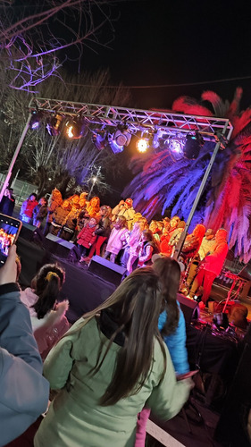 Alquiler Sonido Dj Iluminacion Fiestas Electronica