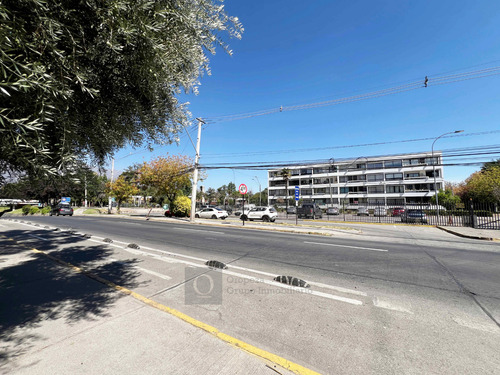 Departamento Para Remodelar En Ñuñoa 3ha 2ba 1est