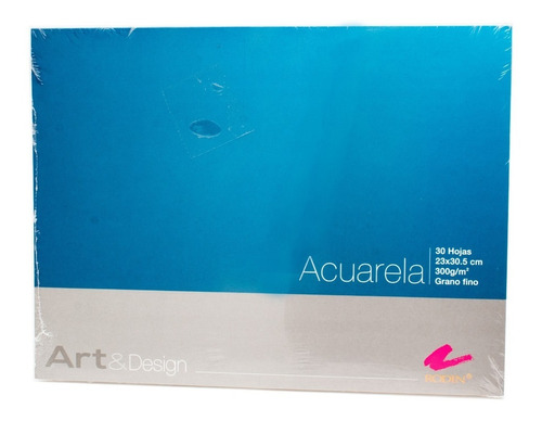 Block  30 Hojas Acuarela Tinta 300gr Grano Fino 25x30.5