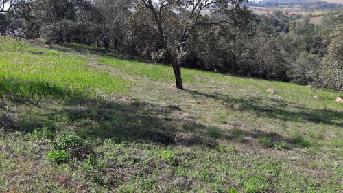 Imagem 4 de 7 de Terreno De Condomínio, Condomínio Voturuna, Santana De Parnaíba - R$ 850 Mil, Cod: 235376 - V235376