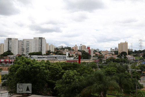 Apartamento Para Aluguel - Vila Santa Luzia, 1 Quarto, 27 - 893189453