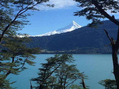 Imagen 3 de 17 de Agrícola En Venta En Puerto Varas