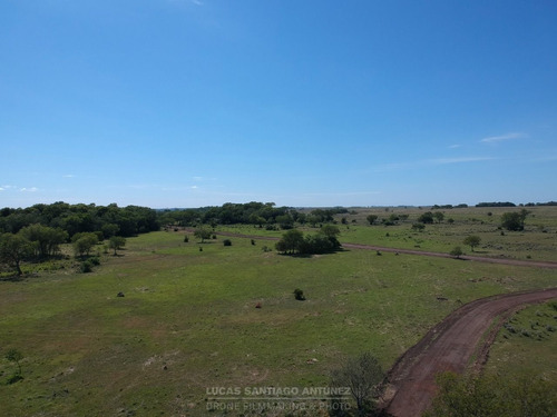Imagen 12 de 26 de Terreno En Venta En Ituzaingó