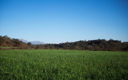 Venta Campo Río Piedras