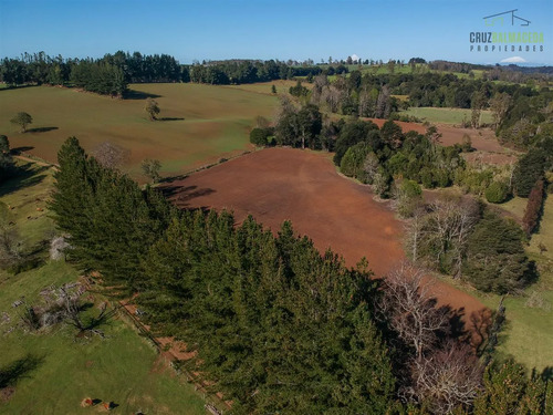 Agrícola En Venta En Fresia