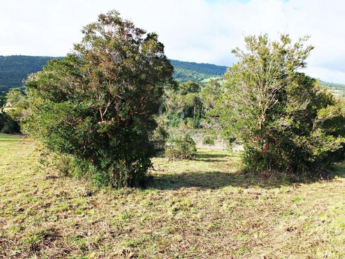 Condominio Consolidado | Acceso Al Lago Llanquihue