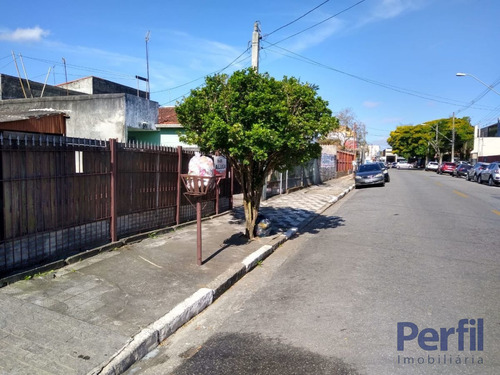 Imagem 4 de 8 de Terrenos - Urbano - 2436