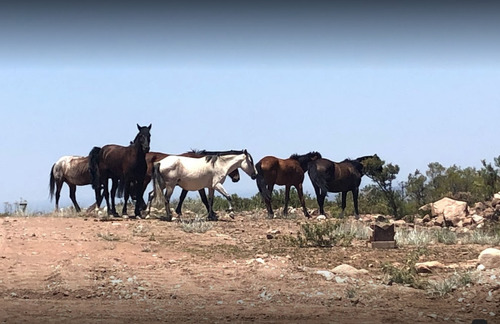 Imagen 6 de 10 de Venta Lote B° Condores Pueblo De Montaña