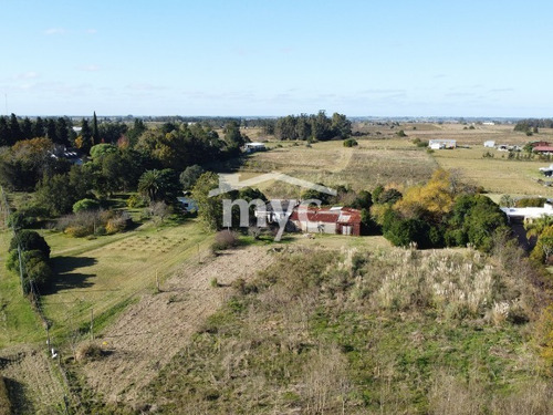Imagen 3 de 18 de 1,3 Hás Con Casa Para Reciclar Sobre Ruta 7 Km 34.