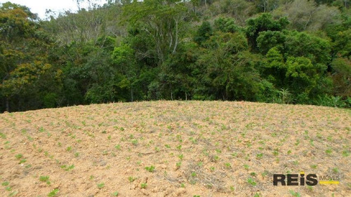 Imagem 20 de 30 de Sítio À Venda, 10000 M² Por R$ 250.000,00 - Piedade - Piedade/sp - Si0017