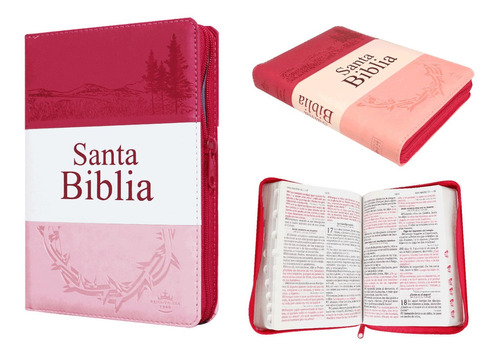 Caja 20 Biblias Reina Valera 60 Letra Grande Cierre Indice