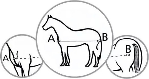 Imagen 10 de 10 de Manta Capa Caballo Importada (descuento Vta. Directa)