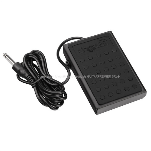 Imagen 8 de 8 de Pedal Sustain Para Teclado Organo Piano Profesional Garantia