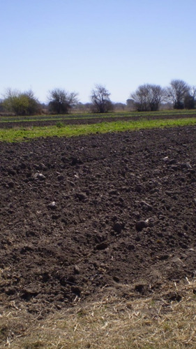 Se Venden 4,4 Hectáreas Aptas Para Loteo En Zona Norte De Córdoba, A Continuación De Av. Japón