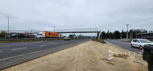 Industrial En Venta En Casablanca