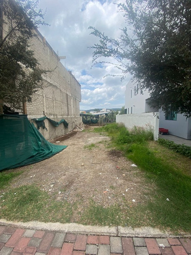 Imagen 7 de 9 de Terreno En Amate, Bosques Vallarta