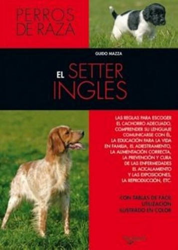 El Setter Ingles - Perros De Raza