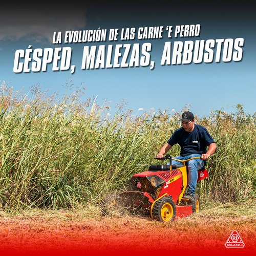 Motocortadora Para Malezas Roland H001 Evo- Motor B&s Manual
