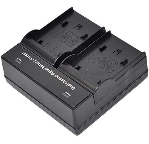 Cargador Bateria Ac Dual Channel Para Olympus Li 90b 92b