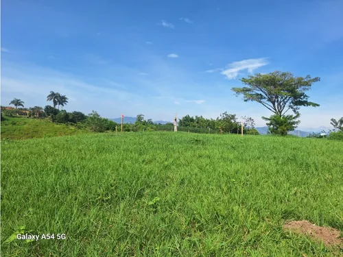 Venta Lotes En Quimbaya -quindío Colombia Cod: 7555717