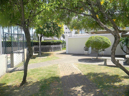 Apartamento Com 3 Dormitórios À Venda, 71 M² Por R$ 310.000,00 - Condomínio Portal Das Flores - Indaiatuba/sp - Ap2384