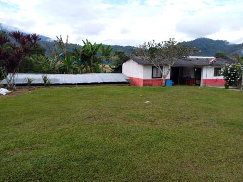 Se Vende Finca Quebradanegra Calarcá Quindío 