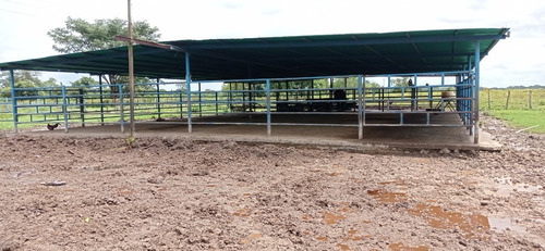Imagen 13 de 17 de Finca En Cojedes En Venta, Berenice Martinez 04244041893 Cl-bm491