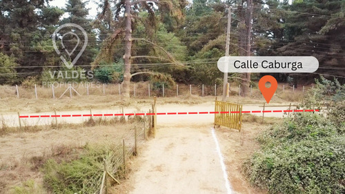 Terreno En Los Pinos Excelente Conectividad