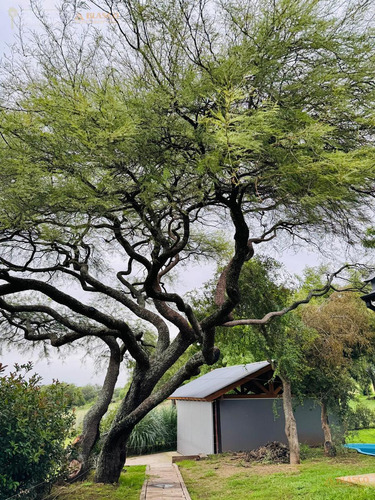 Casa En Country Los Milagros | Santa Rosa De Calamuchita